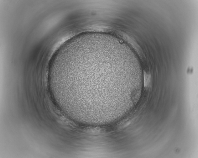 X0000093620675200711051239