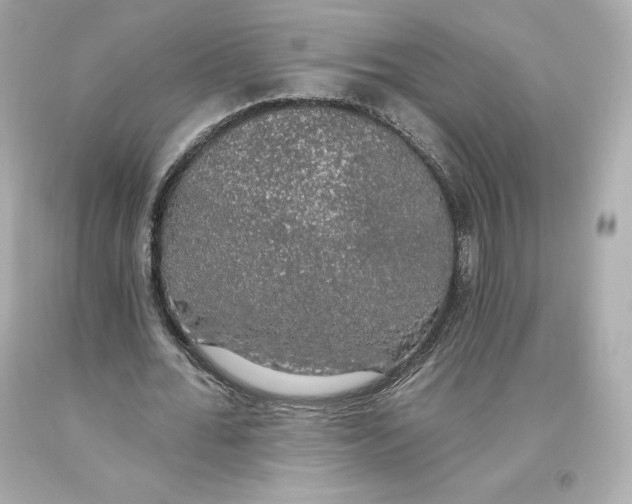 X0000093620676200711051239