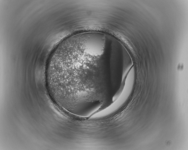 X0000093620677200711051239