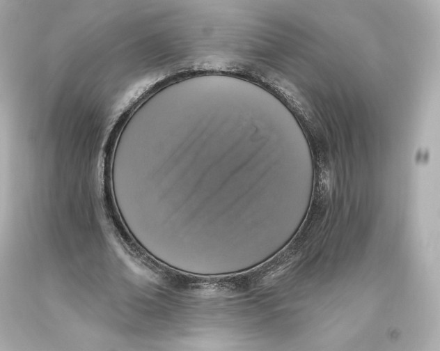 X0000093620678200711051239