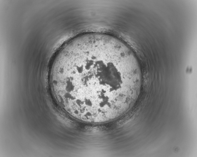 X0000093620679200711051239