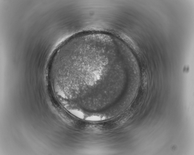 X0000093620680200711051239