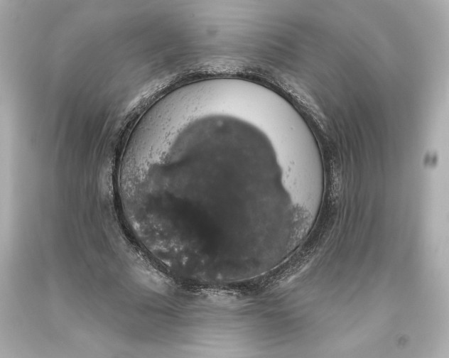 X0000093620681200711051239