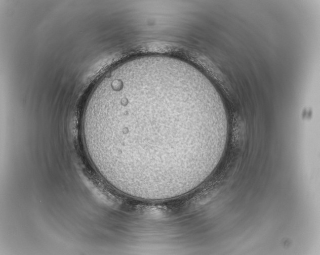 X0000093620683200711051239