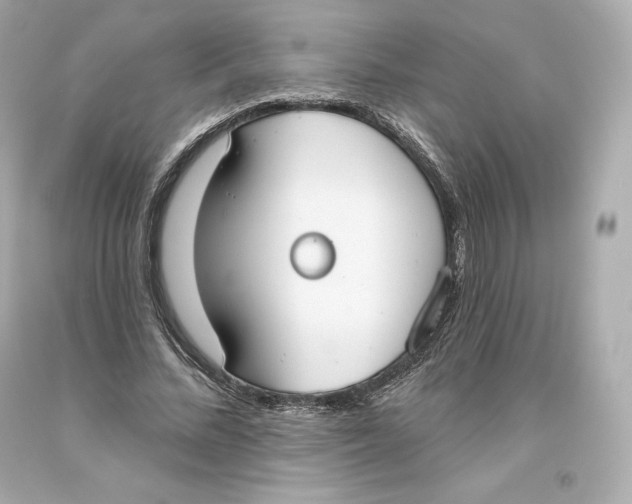 X0000093620684200711051239