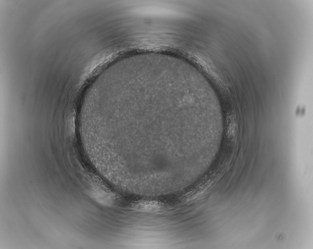 X0000093620685200711051239