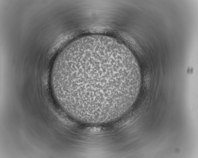 X0000093620687200711051239