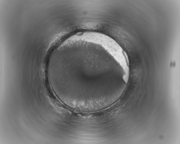 X0000093620688200711051239