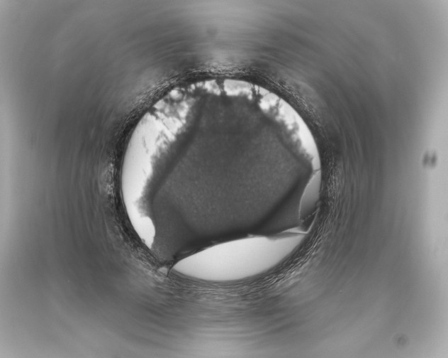 X0000093620689200711051239