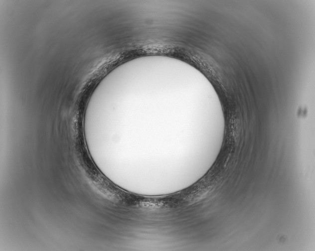 X0000093620690200711051239