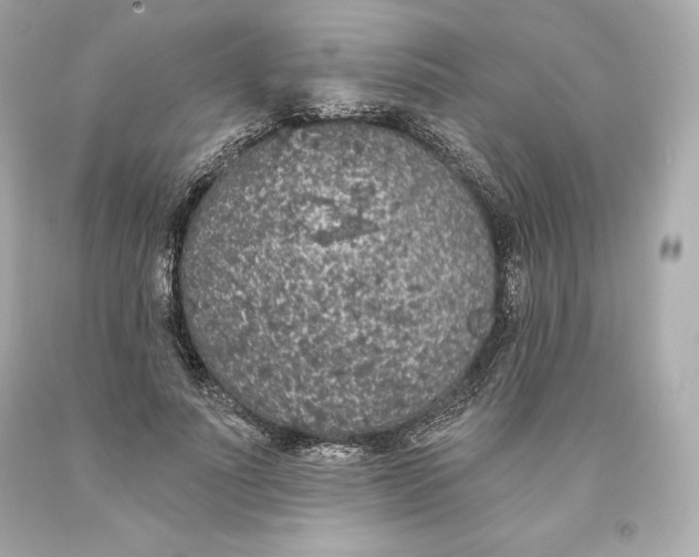 X0000093620691200711051239