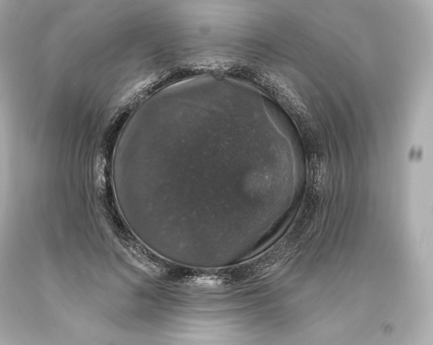 X0000093620692200711051239