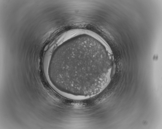 X0000093620693200711051239