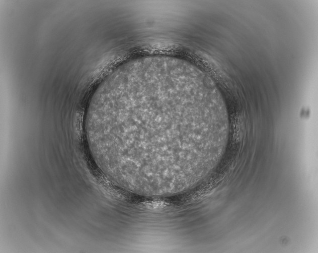 X0000093620695200711051239