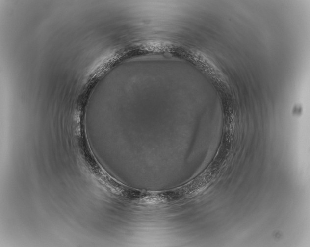 X0000093620696200711051239