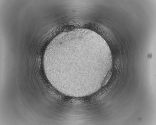 X0000093620697200711051239