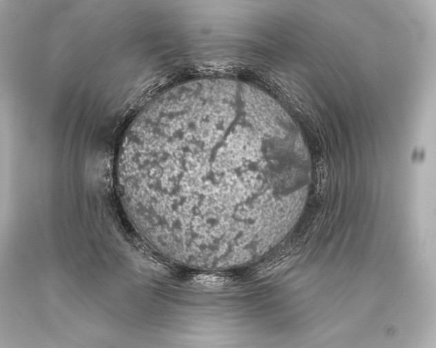 X0000093620699200711051239