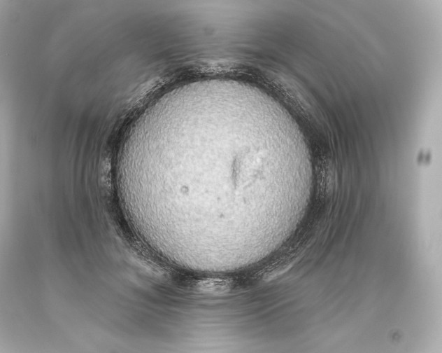 X0000093620700200711051239