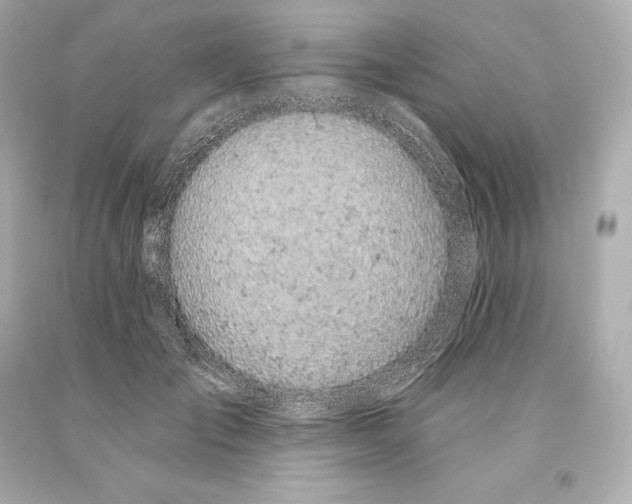 X0000093620701200711051239