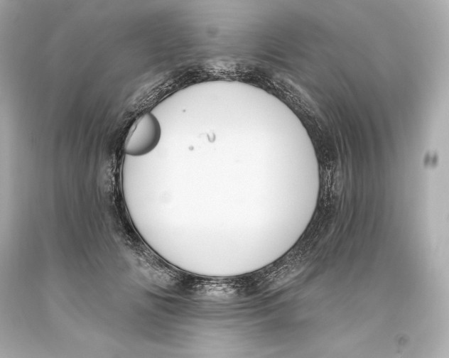 X0000093620702200711051239