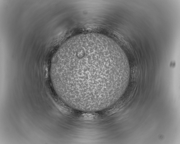 X0000093620703200711051239