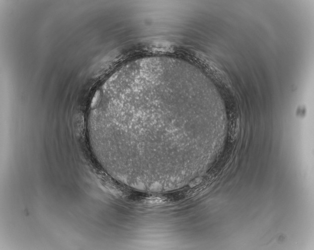 X0000093620704200711051239