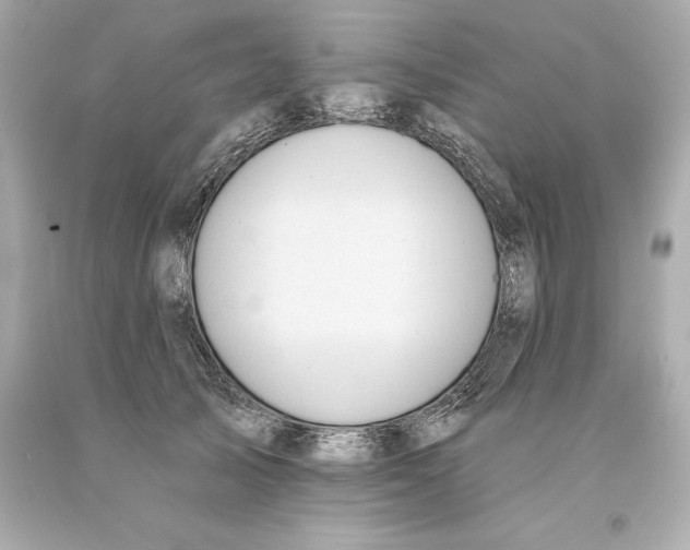 X0000093620705200711051239