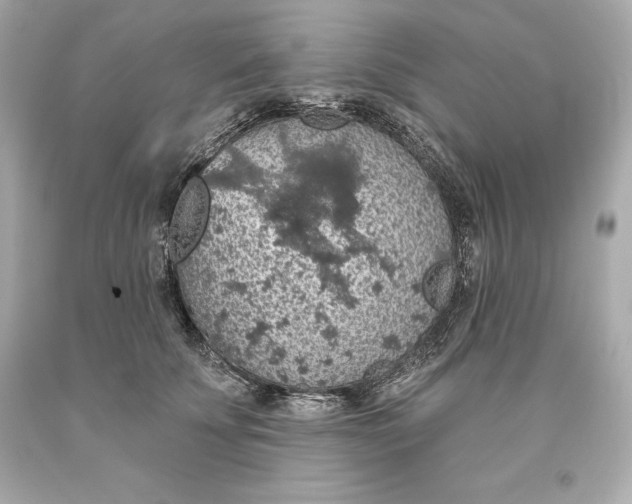 X0000093620707200711051239