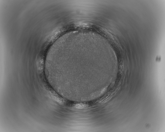 X0000093620708200711051239