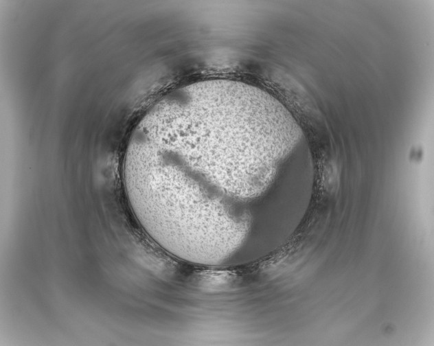 X0000093620711200711051239