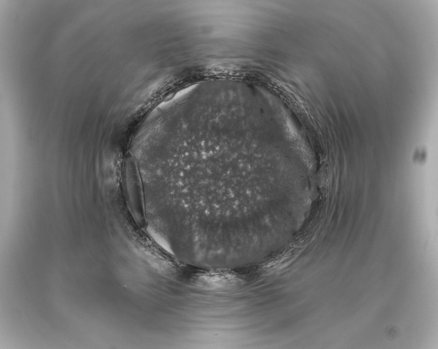 X0000093620712200711051239