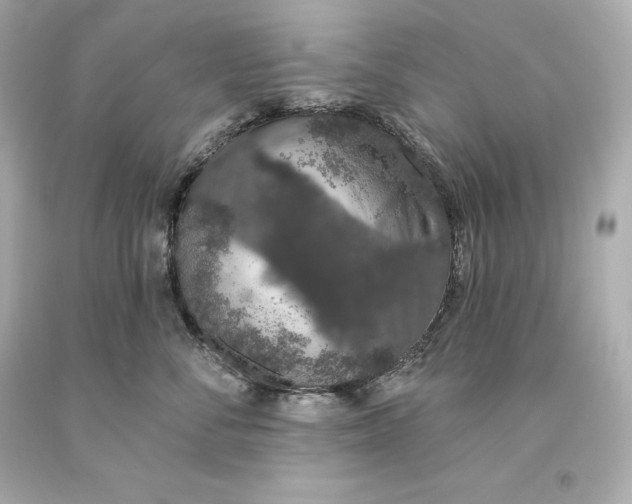 X0000093620716200711051239