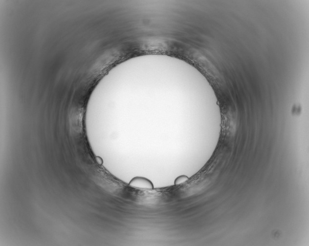 X0000093620717200711051239