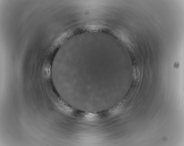 X0000093620718200711051239