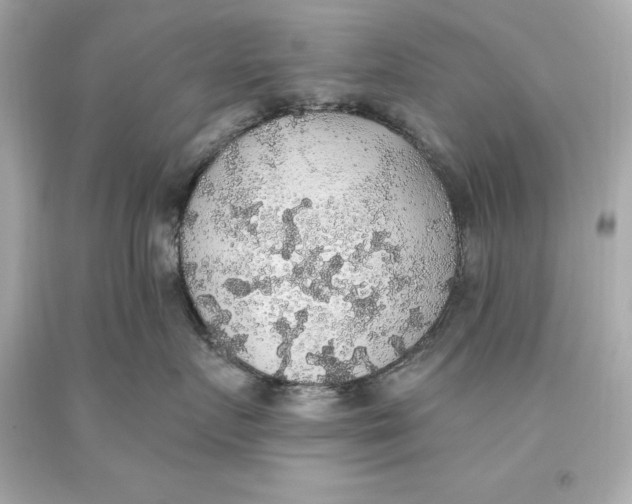 X0000093620719200711051239