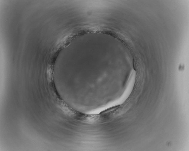 X0000093620720200711051239