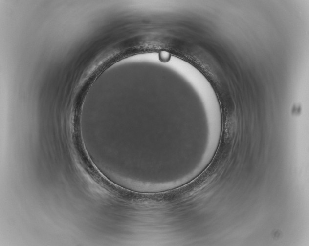 X0000093620722200711051238