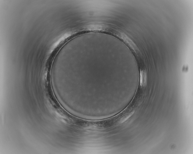 X0000093620723200711051238