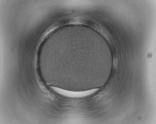 X0000093620724200711051238