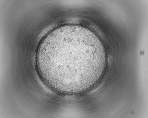 X0000093620725200711051238