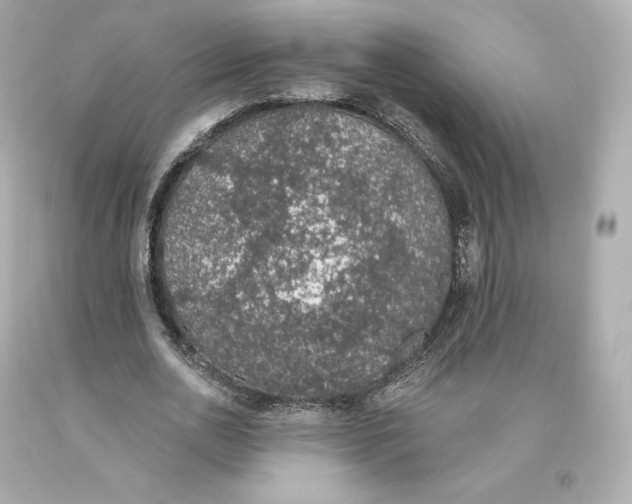 X0000093620726200711051238