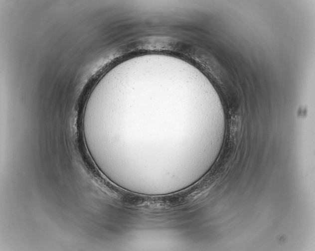 X0000093620727200711051238