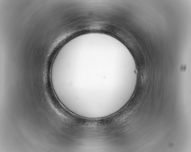 X0000093620728200711051238