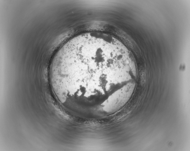 X0000093620729200711051238