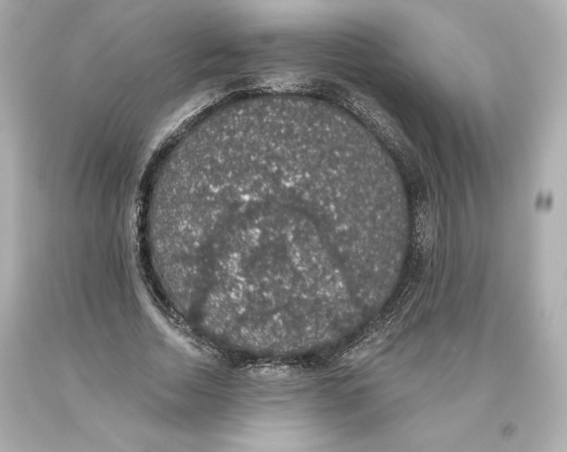 X0000093620730200711051238