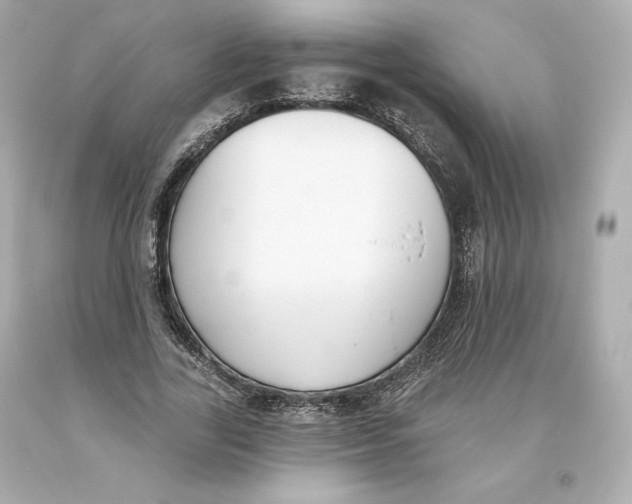 X0000093620731200711051238