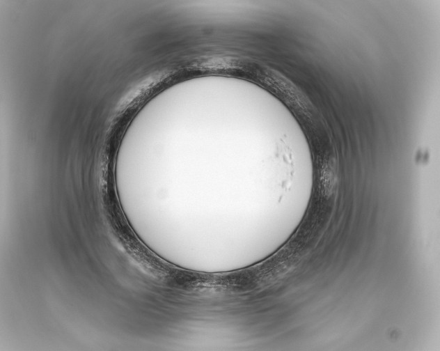 X0000093620732200711051238