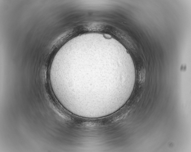 X0000093620733200711051238