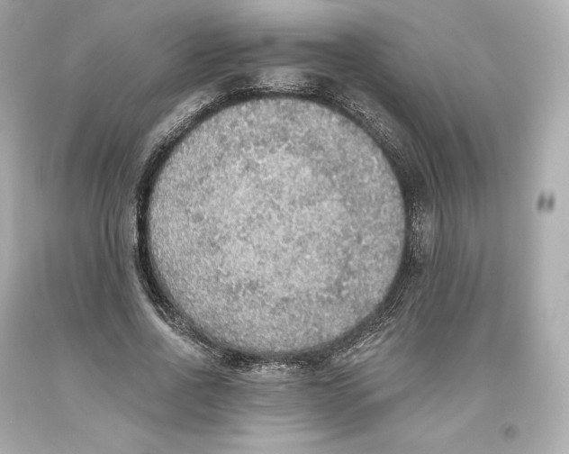 X0000093620734200711051238