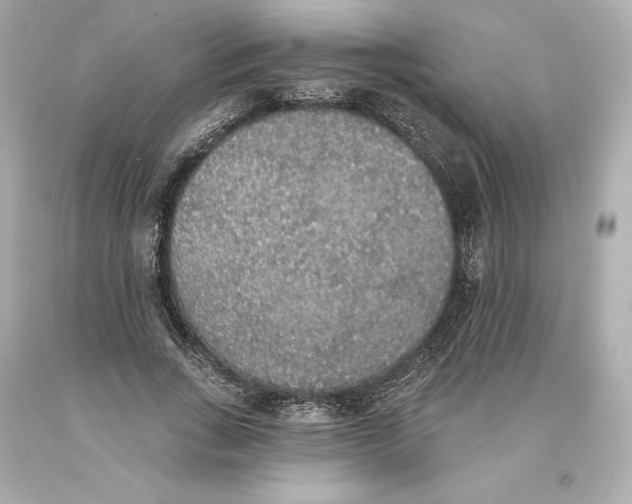 X0000093620735200711051238